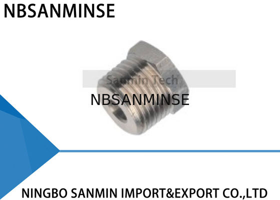 Encaixes pneumáticos do ar da transição do BD BSPP (g), BSPT (R) linha do defeito